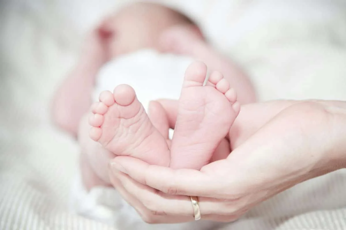 Consulta de postparto online y a domicilio con matrona especializada en Valencia